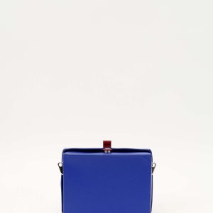 Louis Vuitton Leather Bag