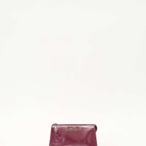 Louis Vuitton Case