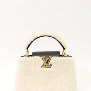 Louis Vuitton Capucines